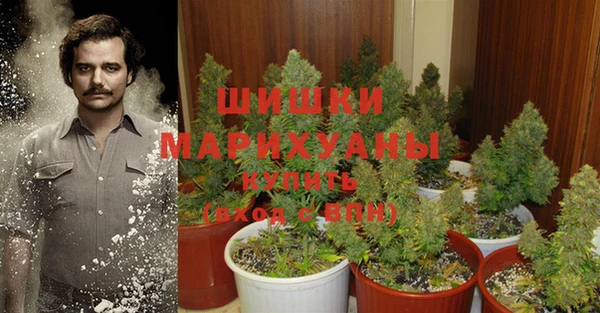крисы Балабаново