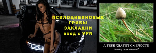 трава Балахна