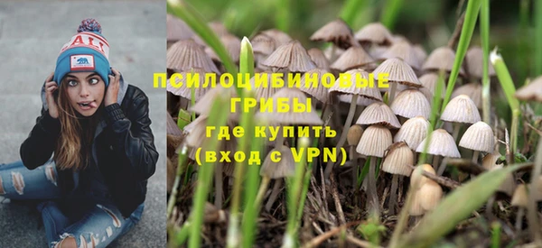 трава Балахна